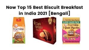 Now Top 15 Best Biscuit Breakfast in India 2021