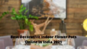 Best Decorative Indoor Flower Pots Online in India 2021