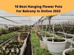 Best Hanging Flower Pots For Balcony