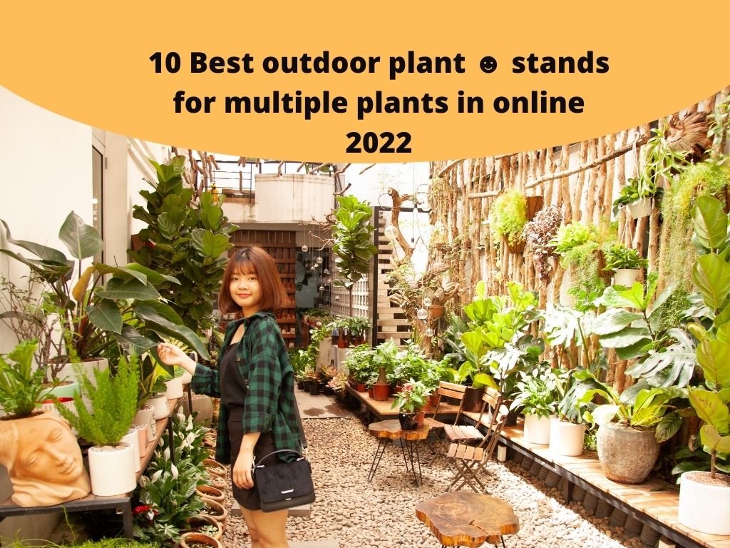 10 Best outdoor plant ☻ stands for multiple plants